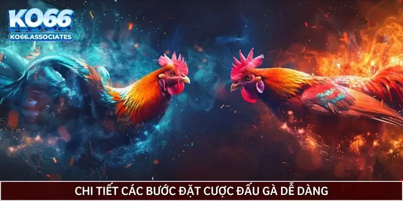 chi-tiet-cac-buoc-dat-cuoc-dau-ga-de-dang