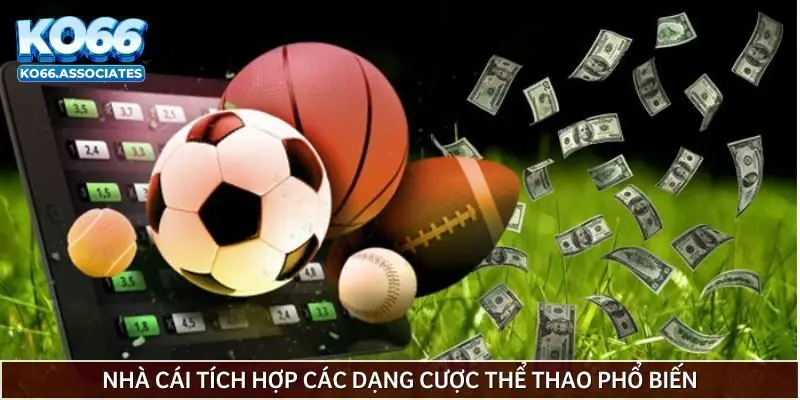 nha-cai-tich-hop-cac-dang-cuoc-the-thao-pho-bien