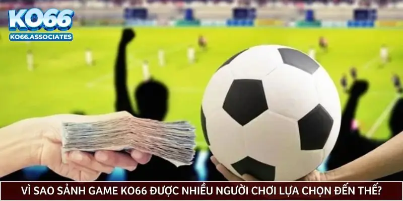 Lí do KO66 được ưa chuộng?